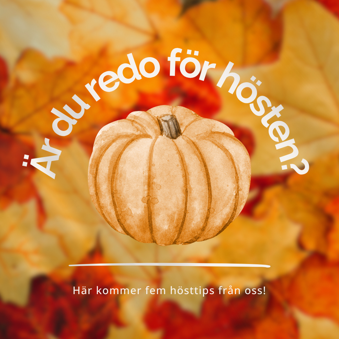 En bild med hösttema med en pumpa och texten "Är du redo för hösten?" i fokus.